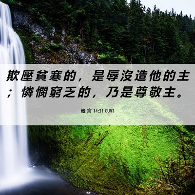 Picture 06 - 箴 言 14:31 CUVT - 欺 壓 貧 寒 的 ， 是 辱 沒 造 他 的 - Bible Verse Picture