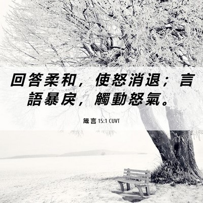 Picture 06 - 箴 言 15:1 CUVT - 回 答 柔 和 ， 使 怒 消 退 ； 言 語 - Bible Verse Picture
