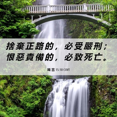Picture 06 - 箴 言 15:10 CUVT - 捨 棄 正 路 的 ， 必 受 嚴 刑 ； 恨 - Bible Verse Picture
