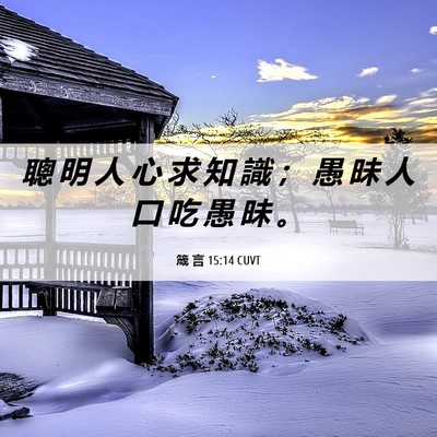 Picture 06 - 箴 言 15:14 CUVT - 聰 明 人 心 求 知 識 ； 愚 昧 人 口 - Bible Verse Picture