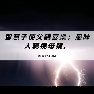 Picture 06 - 箴 言 15:20 CUVT - 智 慧 子 使 父 親 喜 樂 ； 愚 昧 人 - Bible Verse Picture