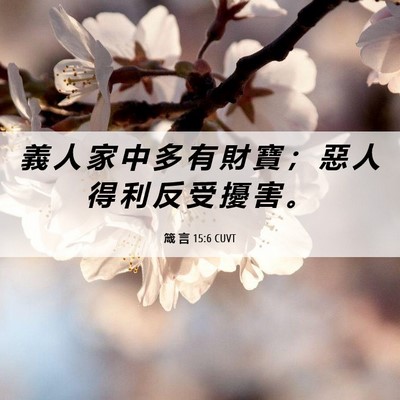 Picture 06 - 箴 言 15:6 CUVT - 義 人 家 中 多 有 財 寶 ； 惡 人 得 - Bible Verse Picture