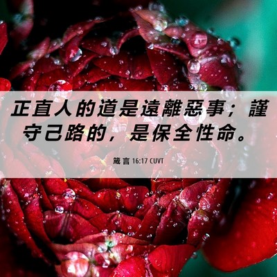 Picture 06 - 箴 言 16:17 CUVT - 正 直 人 的 道 是 遠 離 惡 事 ； 謹 - Bible Verse Picture