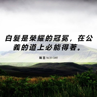 Picture 06 - 箴 言 16:31 CUVT - 白 髮 是 榮 耀 的 冠 冕 ， 在 公 義 - Bible Verse Picture