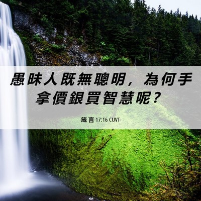 Picture 06 - 箴 言 17:16 CUVT - 愚 昧 人 既 無 聰 明 ， 為 何 手 拿 - Bible Verse Picture