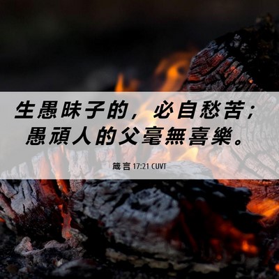 Picture 06 - 箴 言 17:21 CUVT - 生 愚 昧 子 的 ， 必 自 愁 苦 ； 愚 - Bible Verse Picture