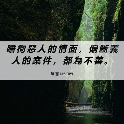 Picture 06 - 箴 言 18:5 CUVT - 瞻 徇 惡 人 的 情 面 ， 偏 斷 義 人 - Bible Verse Picture