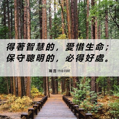 Picture 06 - 箴 言 19:8 CUVT - 得 著 智 慧 的 ， 愛 惜 生 命 ； 保 - Bible Verse Picture