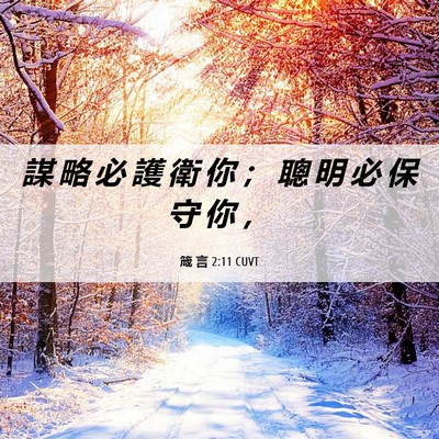 Picture 06 - 箴 言 2:11 CUVT - 謀 略 必 護 衛 你 ； 聰 明 必 保 守 - Bible Verse Picture