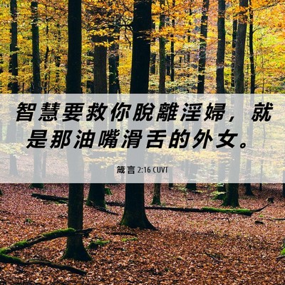 Picture 06 - 箴 言 2:16 CUVT - 智 慧 要 救 你 脫 離 淫 婦 ， 就 是 - Bible Verse Picture