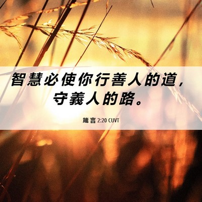 Picture 06 - 箴 言 2:20 CUVT - 智 慧 必 使 你 行 善 人 的 道 ， 守 - Bible Verse Picture