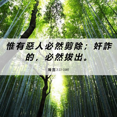 Picture 06 - 箴 言 2:22 CUVT - 惟 有 惡 人 必 然 剪 除 ； 奸 詐 的 - Bible Verse Picture