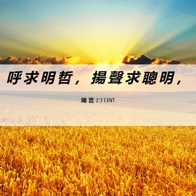 Picture 06 - 箴 言 2:3 CUVT - 呼 求 明 哲 ， 揚 聲 求 聰 明 - Bible Verse Picture