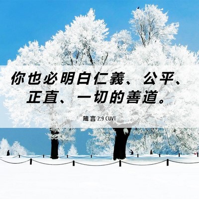 Picture 06 - 箴 言 2:9 CUVT - 你 也 必 明 白 仁 義 、 公 平 、 正 - Bible Verse Picture