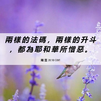 Picture 06 - 箴 言 20:10 CUVT - 兩 樣 的 法 碼 ， 兩 樣 的 升 斗 ， - Bible Verse Picture