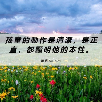 Picture 06 - 箴 言 20:11 CUVT - 孩 童 的 動 作 是 清 潔 ， 是 正 直 - Bible Verse Picture