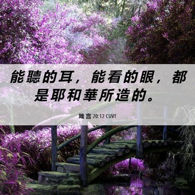 Picture 06 - 箴 言 20:12 CUVT - 能 聽 的 耳 ， 能 看 的 眼 ， 都 是 - Bible Verse Picture