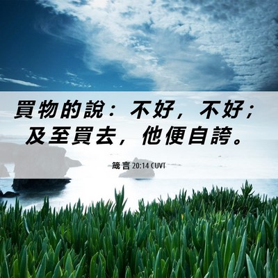 Picture 06 - 箴 言 20:14 CUVT - 買 物 的 說 ： 不 好 ， 不 好 ； 及 - Bible Verse Picture
