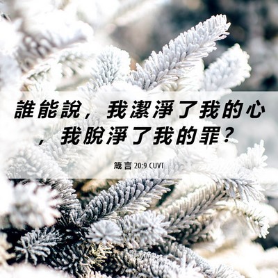 Picture 06 - 箴 言 20:9 CUVT - 誰 能 說 ， 我 潔 淨 了 我 的 心 ， - Bible Verse Picture