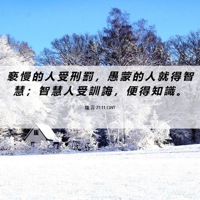 Picture 06 - 箴 言 21:11 CUVT - 褻 慢 的 人 受 刑 罰 ， 愚 蒙 的 人 - Bible Verse Picture