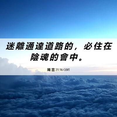 Picture 06 - 箴 言 21:16 CUVT - 迷 離 通 達 道 路 的 ， 必 住 在 陰 - Bible Verse Picture