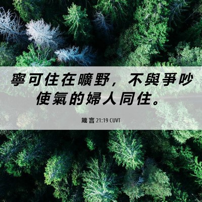 Picture 06 - 箴 言 21:19 CUVT - 寧 可 住 在 曠 野 ， 不 與 爭 吵 使 - Bible Verse Picture