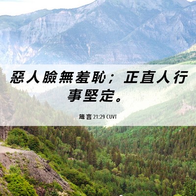 Picture 06 - 箴 言 21:29 CUVT - 惡 人 臉 無 羞 恥 ； 正 直 人 行 事 - Bible Verse Picture