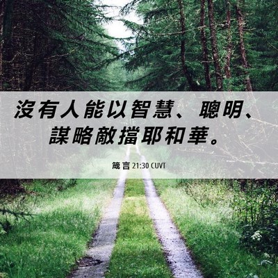 Picture 06 - 箴 言 21:30 CUVT - 沒 有 人 能 以 智 慧 、 聰 明 、 謀 - Bible Verse Picture