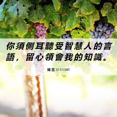 Picture 06 - 箴 言 22:17 CUVT - 你 須 側 耳 聽 受 智 慧 人 的 言 語 - Bible Verse Picture