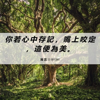 Picture 06 - 箴 言 22:18 CUVT - 你 若 心 中 存 記 ， 嘴 上 咬 定 ， - Bible Verse Picture