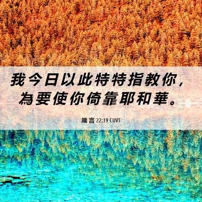 Picture 06 - 箴 言 22:19 CUVT - 我 今 日 以 此 特 特 指 教 你 ， 為 - Bible Verse Picture