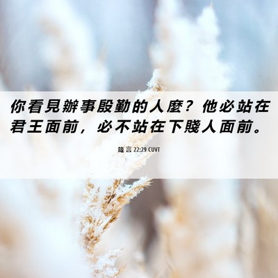 Picture 06 - 箴 言 22:29 CUVT - 你 看 見 辦 事 殷 勤 的 人 麼 ？ 他 - Bible Verse Picture