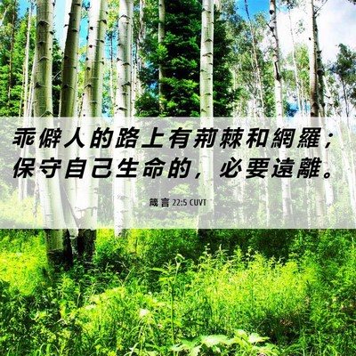 Picture 06 - 箴 言 22:5 CUVT - 乖 僻 人 的 路 上 有 荊 棘 和 網 羅 - Bible Verse Picture