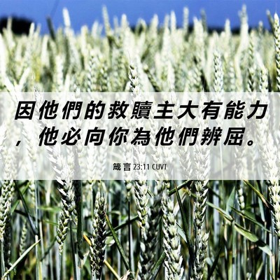 Picture 06 - 箴 言 23:11 CUVT - 因 他 們 的 救 贖 主 大 有 能 力 ， - Bible Verse Picture