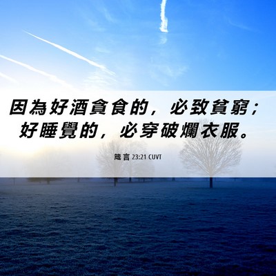 Picture 06 - 箴 言 23:21 CUVT - 因 為 好 酒 貪 食 的 ， 必 致 貧 窮 - Bible Verse Picture