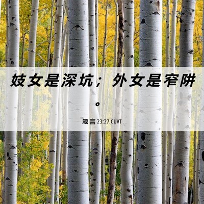 Picture 06 - 箴 言 23:27 CUVT - 妓 女 是 深 坑 ； 外 女 是 窄 阱 - Bible Verse Picture