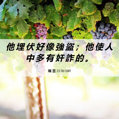 Picture 06 - 箴 言 23:28 CUVT - 他 埋 伏 好 像 強 盜 ； 他 使 人 中 - Bible Verse Picture