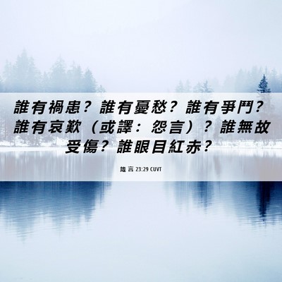 Picture 06 - 箴 言 23:29 CUVT - 誰 有 禍 患 ？ 誰 有 憂 愁 ？ 誰 有 - Bible Verse Picture