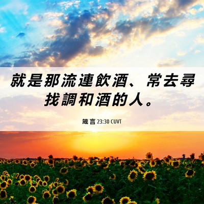 Picture 06 - 箴 言 23:30 CUVT - 就 是 那 流 連 飲 酒 、 常 去 尋 找 - Bible Verse Picture