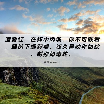 Picture 06 - 箴 言 23:31 CUVT - 酒 發 紅 ， 在 杯 中 閃 爍 ， 你 不 - Bible Verse Picture