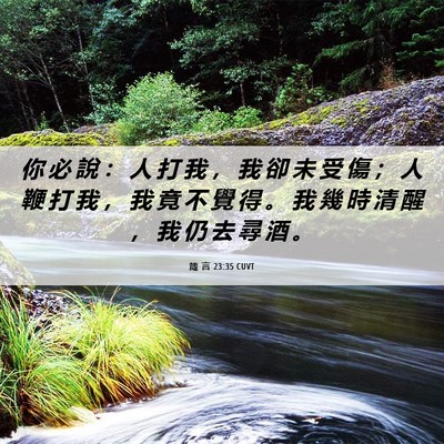 Picture 06 - 箴 言 23:35 CUVT - 你 必 說 ： 人 打 我 ， 我 卻 未 受 - Bible Verse Picture