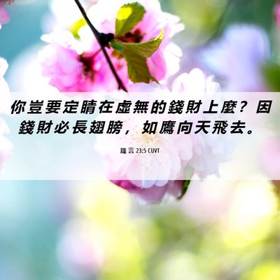 Picture 06 - 箴 言 23:5 CUVT - 你 豈 要 定 睛 在 虛 無 的 錢 財 上 - Bible Verse Picture