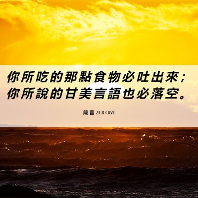 Picture 06 - 箴 言 23:8 CUVT - 你 所 吃 的 那 點 食 物 必 吐 出 來 - Bible Verse Picture