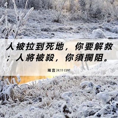 Picture 06 - 箴 言 24:11 CUVT - 人 被 拉 到 死 地 ， 你 要 解 救 ； - Bible Verse Picture
