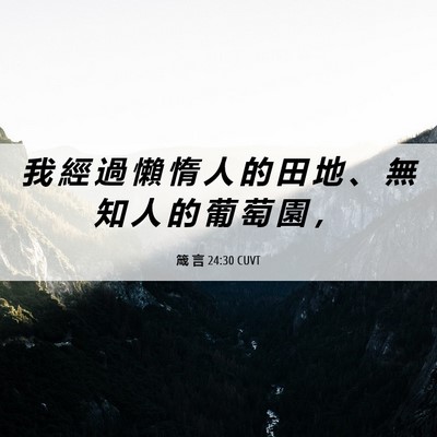 Picture 06 - 箴 言 24:30 CUVT - 我 經 過 懶 惰 人 的 田 地 、 無 知 - Bible Verse Picture