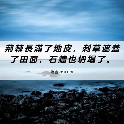 Picture 06 - 箴 言 24:31 CUVT - 荊 棘 長 滿 了 地 皮 ， 刺 草 遮 蓋 - Bible Verse Picture