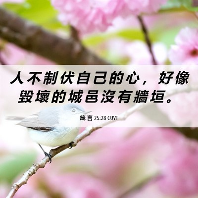 Picture 06 - 箴 言 25:28 CUVT - 人 不 制 伏 自 己 的 心 ， 好 像 毀 - Bible Verse Picture