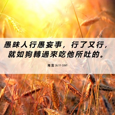Picture 06 - 箴 言 26:11 CUVT - 愚 昧 人 行 愚 妄 事 ， 行 了 又 行 - Bible Verse Picture