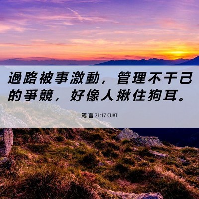 Picture 06 - 箴 言 26:17 CUVT - 過 路 被 事 激 動 ， 管 理 不 干 己 - Bible Verse Picture
