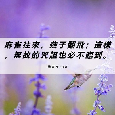 Picture 06 - 箴 言 26:2 CUVT - 麻 雀 往 來 ， 燕 子 翻 飛 ； 這 樣 - Bible Verse Picture